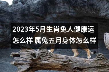 <h3>2025年5月生肖兔人健康运怎么样 属兔五月身体怎么样