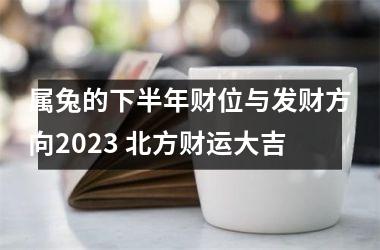 <h3>属兔的下半年财位与发财方向2025 北方财运大吉