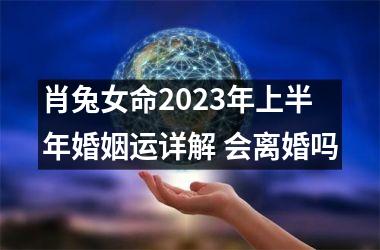 肖兔女命2025年上半年婚姻运详解 会离婚吗