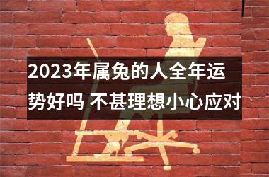 2025年属兔的人全年运势好吗 不甚理想小心应对