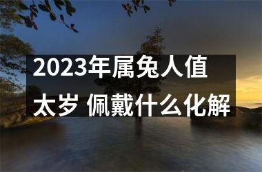 <h3>2025年属兔人值太岁 佩戴什么化解