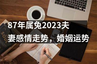 87年属兔2025夫妻感情走势，婚姻运势