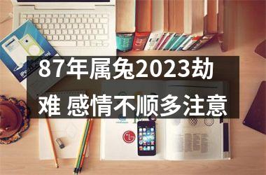 <h3>87年属兔2025劫难 感情不顺多注意
