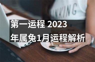 <h3>第一运程 2025年属兔1月运程解析