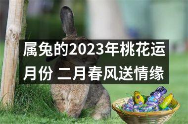 属兔的2025年桃花运月份 二月春风送情缘