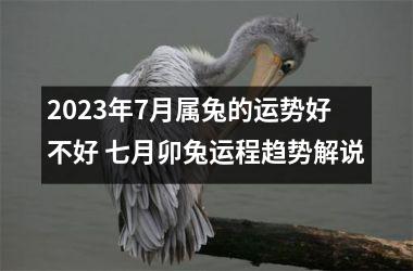 <h3>2025年7月属兔的运势好不好 七月卯兔运程趋势解说