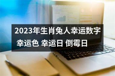2025年生肖兔人幸运数字 幸运色 幸运日 倒霉日