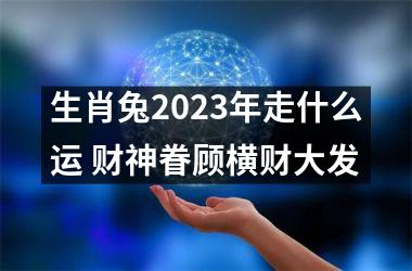 生肖兔2025年走什么运 财神眷顾横财大发