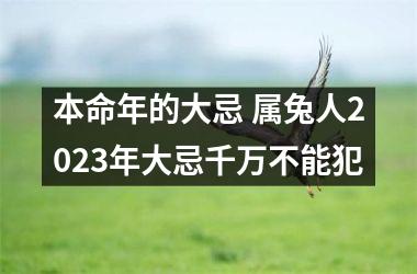 本命年的大忌 属兔人2025年大忌千万不能犯