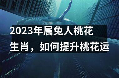 2025年属兔人桃花生肖，如何提升桃花运