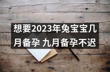 想要2025年兔宝宝几月备孕 九月备孕不迟