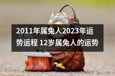 2011年属兔人2025年运势运程 12岁属兔人的运势