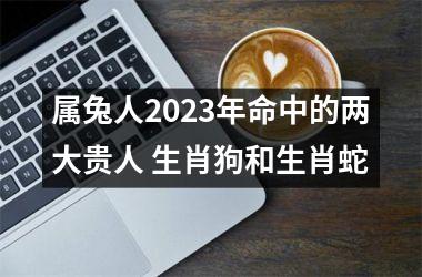 属兔人2025年命中的两大贵人 生肖狗和生肖蛇
