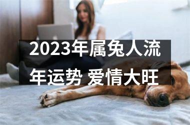 2025年属兔人流年运势 爱情大旺