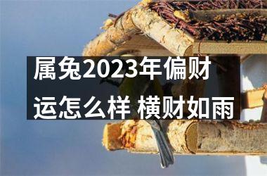 属兔2025年偏财运怎么样 横财如雨