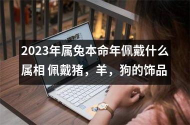 2025年属兔本命年佩戴什么属相 佩戴猪，羊，狗的饰品