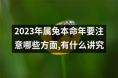 2025年属兔本命年要注意哪些方面,有什么讲究