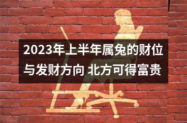 2025年上半年属兔的财位与发财方向 北方可得富贵