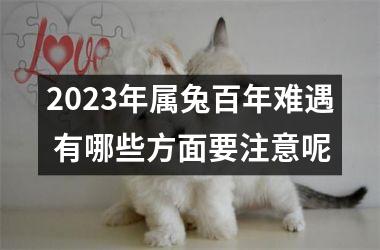 <h3>2025年属兔百年难遇 有哪些方面要注意呢
