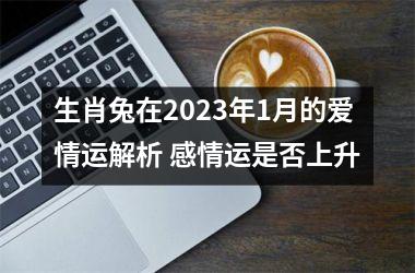 生肖兔在2025年1月的爱情运解析 感情运是否上升