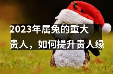 2025年属兔的重大贵人，如何提升贵人缘