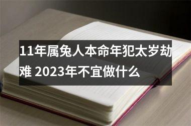 <h3>11年属兔人本命年犯太岁劫难 2025年不宜做什么