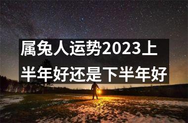 属兔人运势2025上半年好还是下半年好