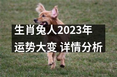 生肖兔人2025年运势大变 详情分析