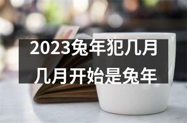 2025兔年犯几月 几月开始是兔年