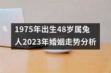 1975年出生48岁属兔人2025年婚姻走势分析