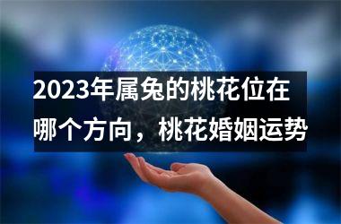 2025年属兔的桃花位在哪个方向，桃花婚姻运势