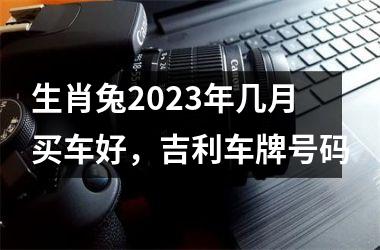 生肖兔2025年几月买车好，吉利车牌号码