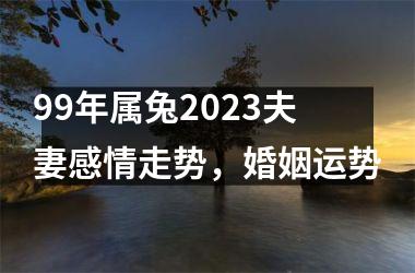 99年属兔2025夫妻感情走势，婚姻运势