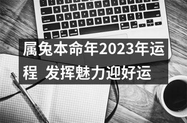 属兔本命年2025年运程  发挥魅力迎好运