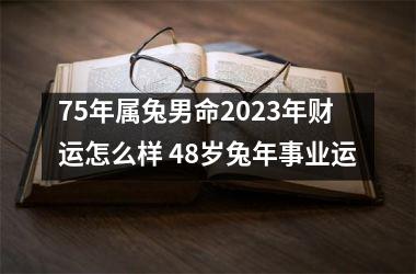 75年属兔男命2025年财运怎么样 48岁兔年事业运