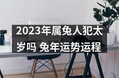 2025年属兔人犯太岁吗 兔年运势运程