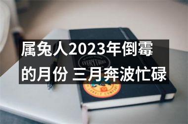 属兔人2025年倒霉的月份 三月奔波忙碌