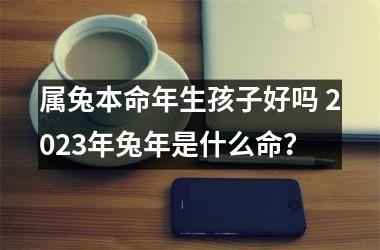 属兔本命年生孩子好吗 2025年兔年是什么命？