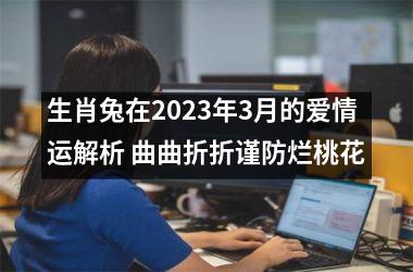 生肖兔在2025年3月的爱情运解析 曲曲折折谨防烂桃花