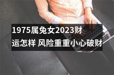 <h3>1975属兔女2025财运怎样 风险重重小心破财