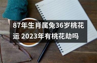 87年生肖属兔36岁桃花运 2025年有桃花劫吗