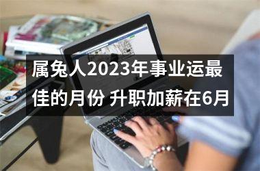 属兔人2025年事业运佳的月份 升职加薪在6月