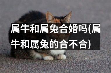 属牛和属兔合婚吗(属牛和属兔的合不合)