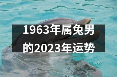 <h3>1963年属兔男的2025年运势