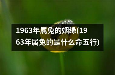 <h3>1963年属兔的姻缘(1963年属兔的是什么命五行)