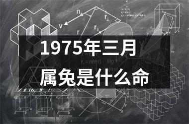 1975年三月属兔是什么命