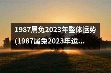 <h3>1987属兔2025年整体运势(1987属兔2025年运势及运程每月运程)