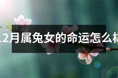 12月属兔女的命运怎么样