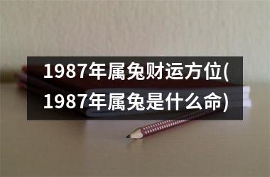 1987年属兔财运方位(1987年属兔是什么命)