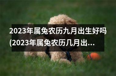 <h3>2025年属兔农历九月出生好吗(2025年属兔农历几月出生好)